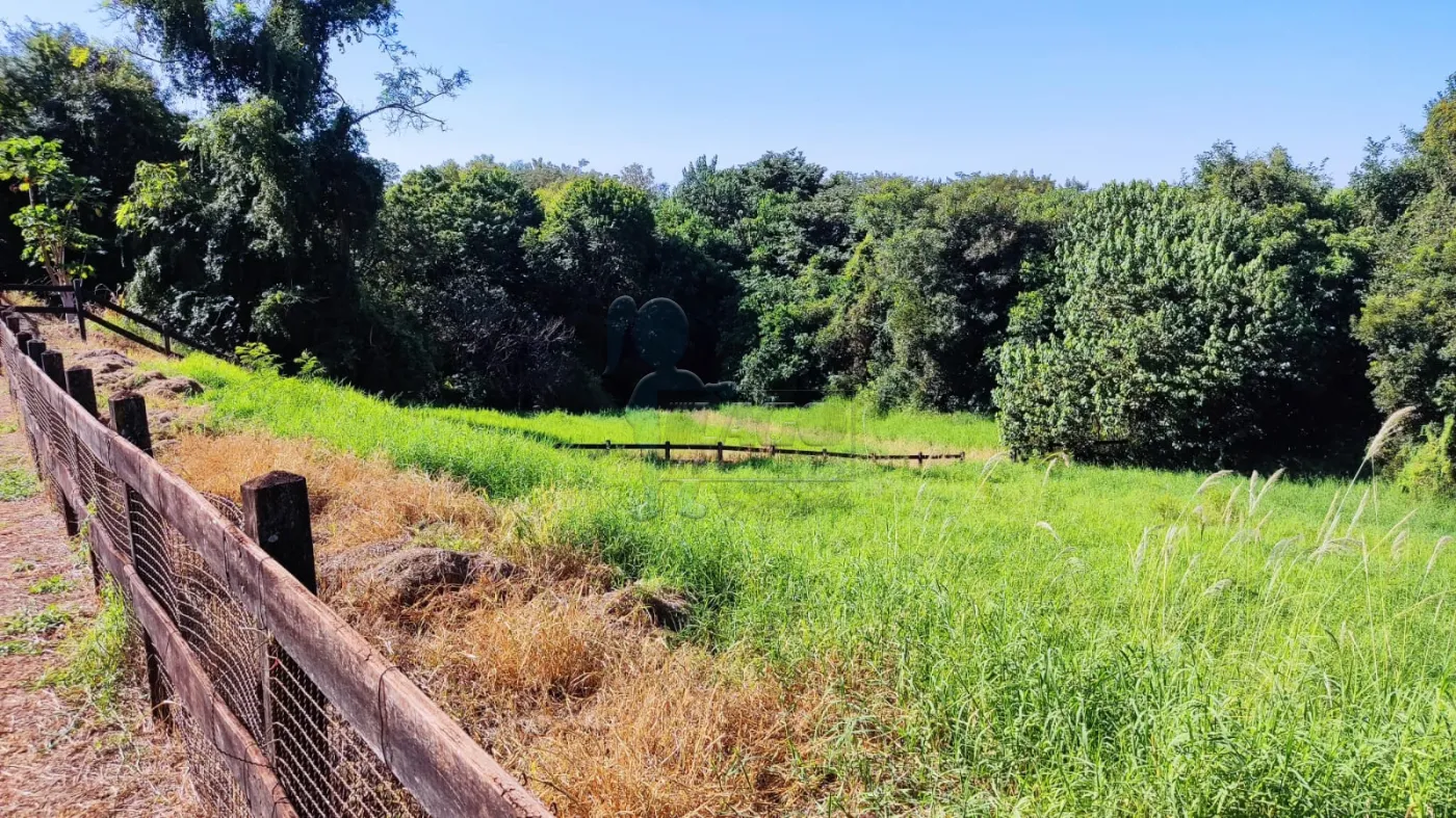 Comprar Rural / Sítio em Ribeirão Preto R$ 4.990.000,00 - Foto 16