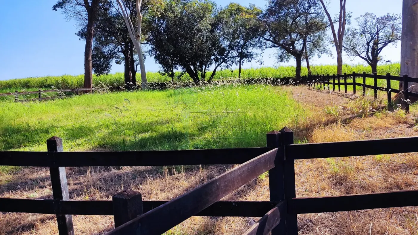 Comprar Rural / Sítio em Ribeirão Preto R$ 4.990.000,00 - Foto 19