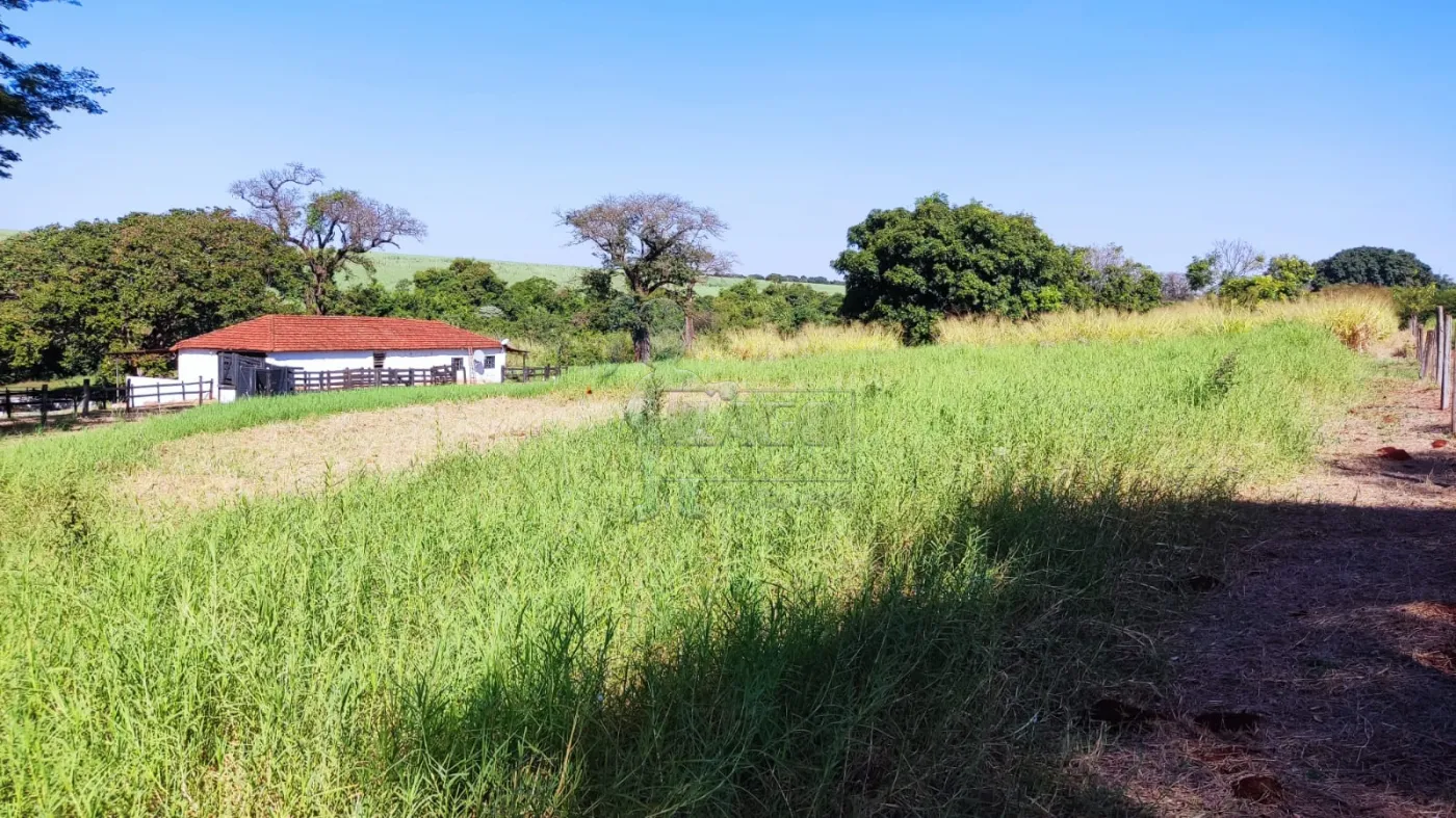 Comprar Rural / Sítio em Ribeirão Preto R$ 4.990.000,00 - Foto 20