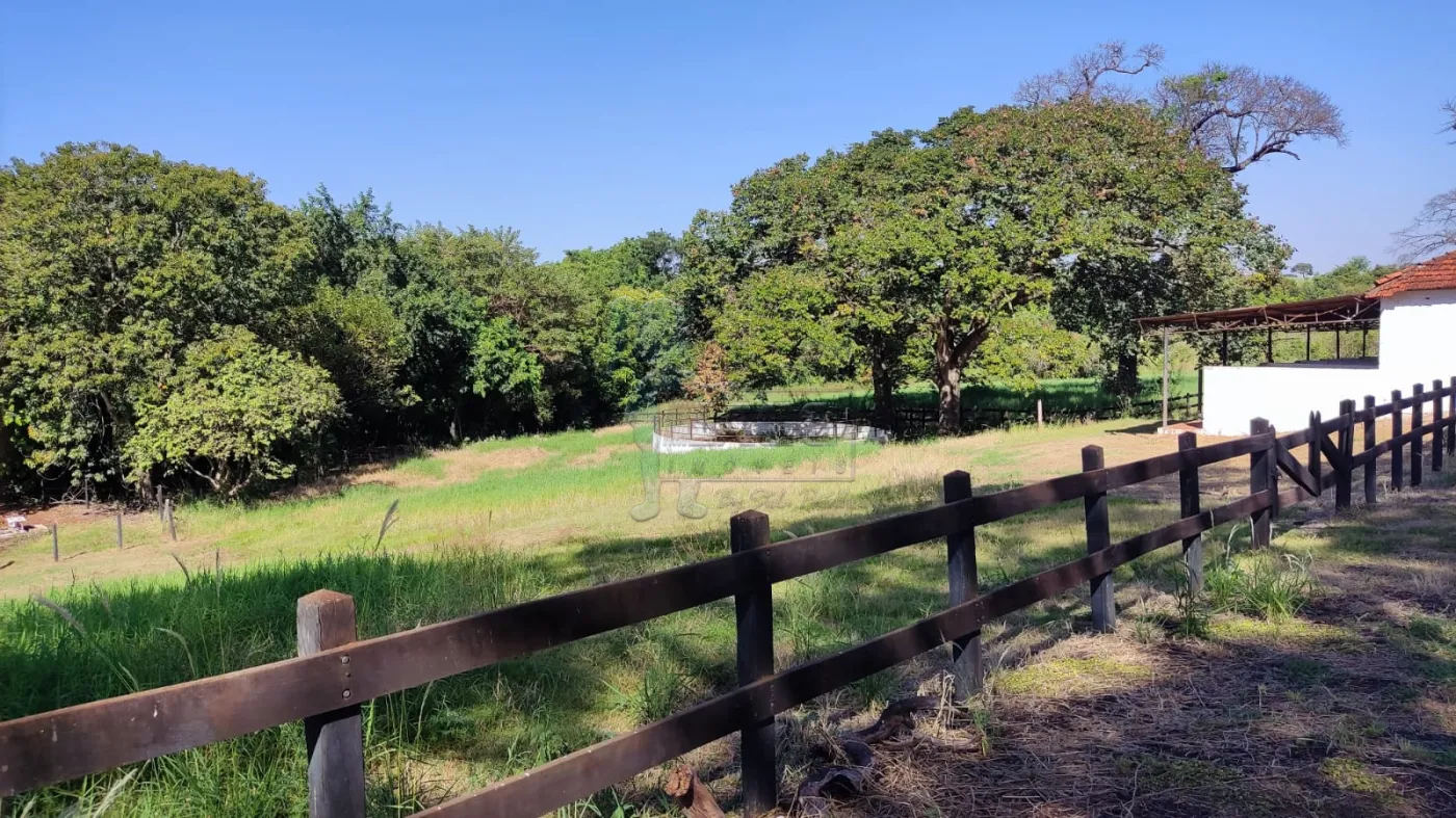 Comprar Rural / Sítio em Ribeirão Preto R$ 4.990.000,00 - Foto 22