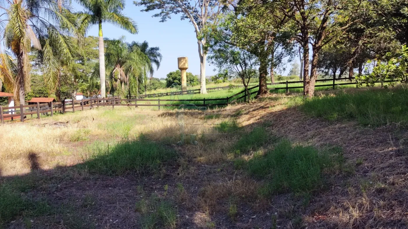 Comprar Rural / Sítio em Ribeirão Preto R$ 4.990.000,00 - Foto 24