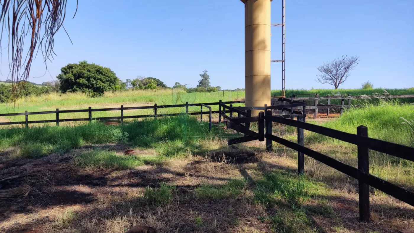 Comprar Rural / Sítio em Ribeirão Preto R$ 4.990.000,00 - Foto 25