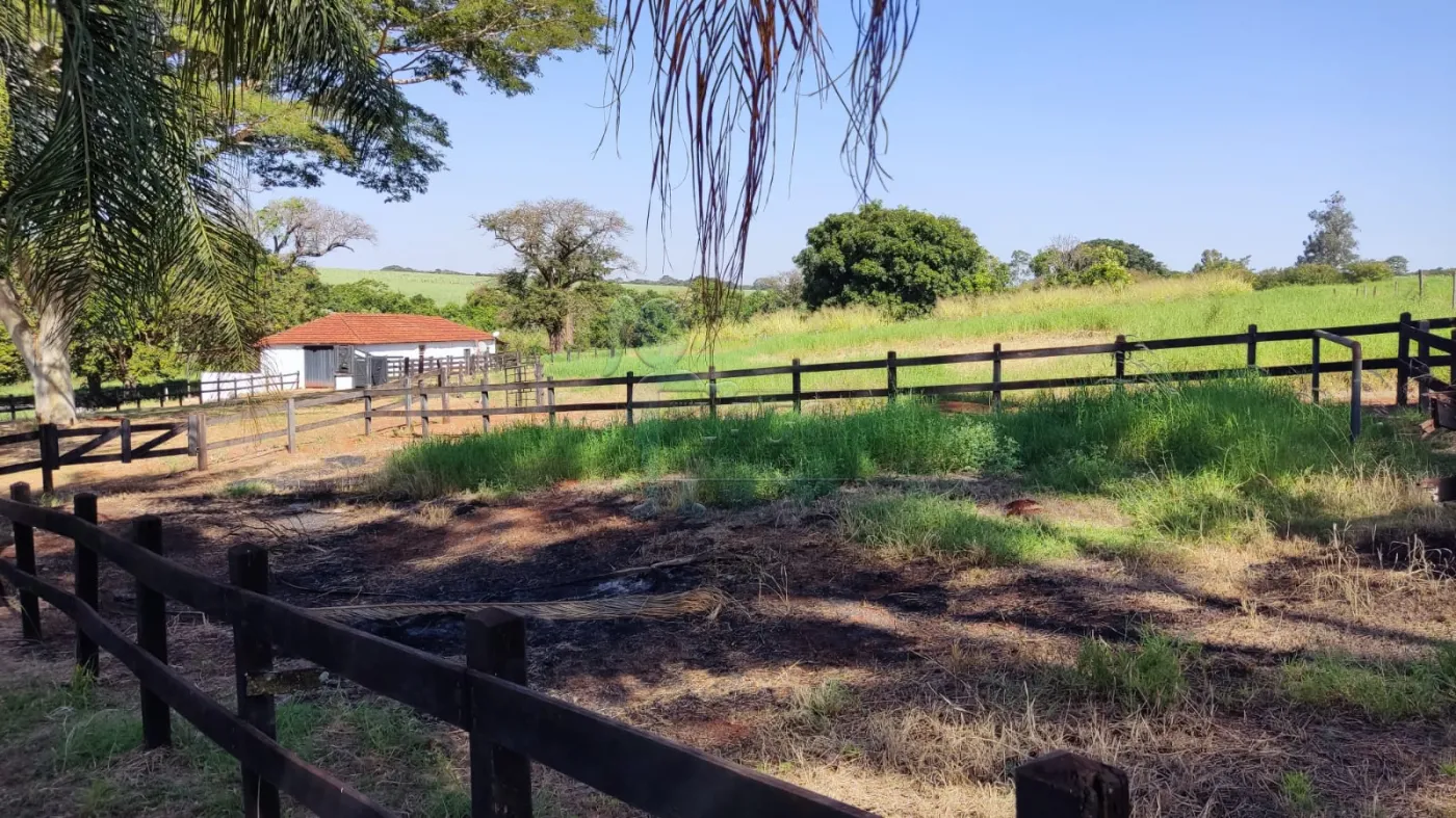 Comprar Rural / Sítio em Ribeirão Preto R$ 4.990.000,00 - Foto 31