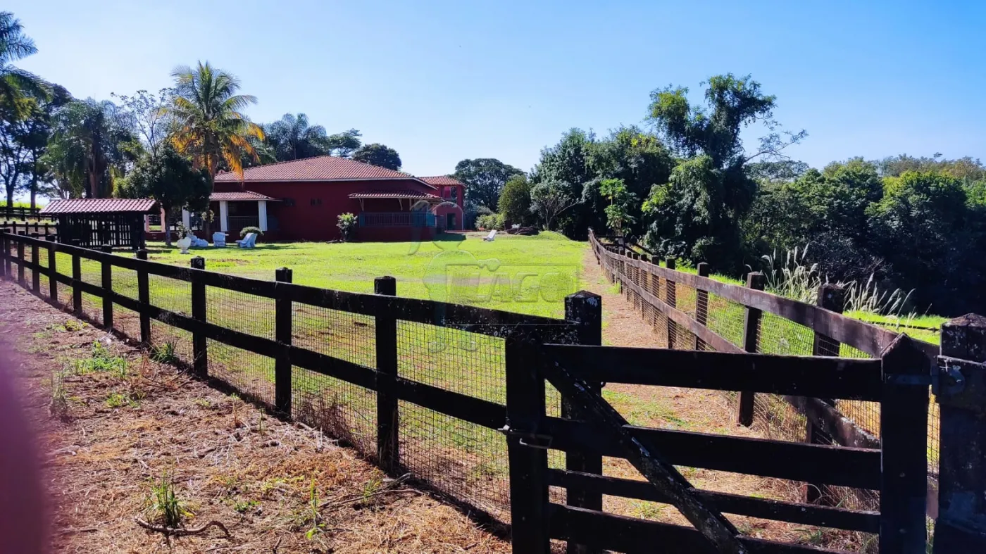 Comprar Rural / Sítio em Ribeirão Preto R$ 4.990.000,00 - Foto 32