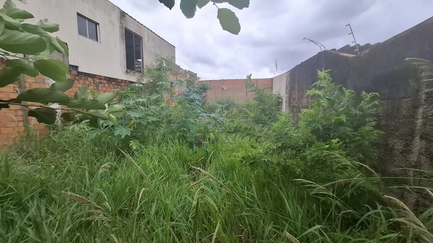 Comprar Terreno / Padrão em Ribeirão Preto R$ 140.000,00 - Foto 1