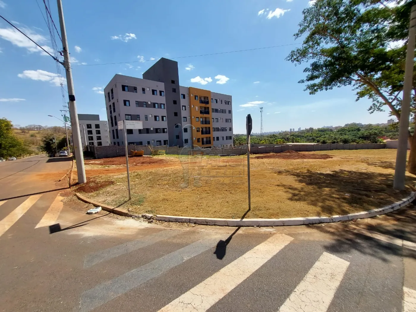 Comprar Terreno / Padrão em Ribeirão Preto R$ 460.000,00 - Foto 3