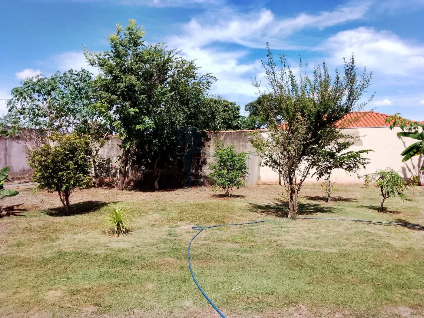 Comprar Rural / Chácara em Ribeirão Preto R$ 550.000,00 - Foto 1