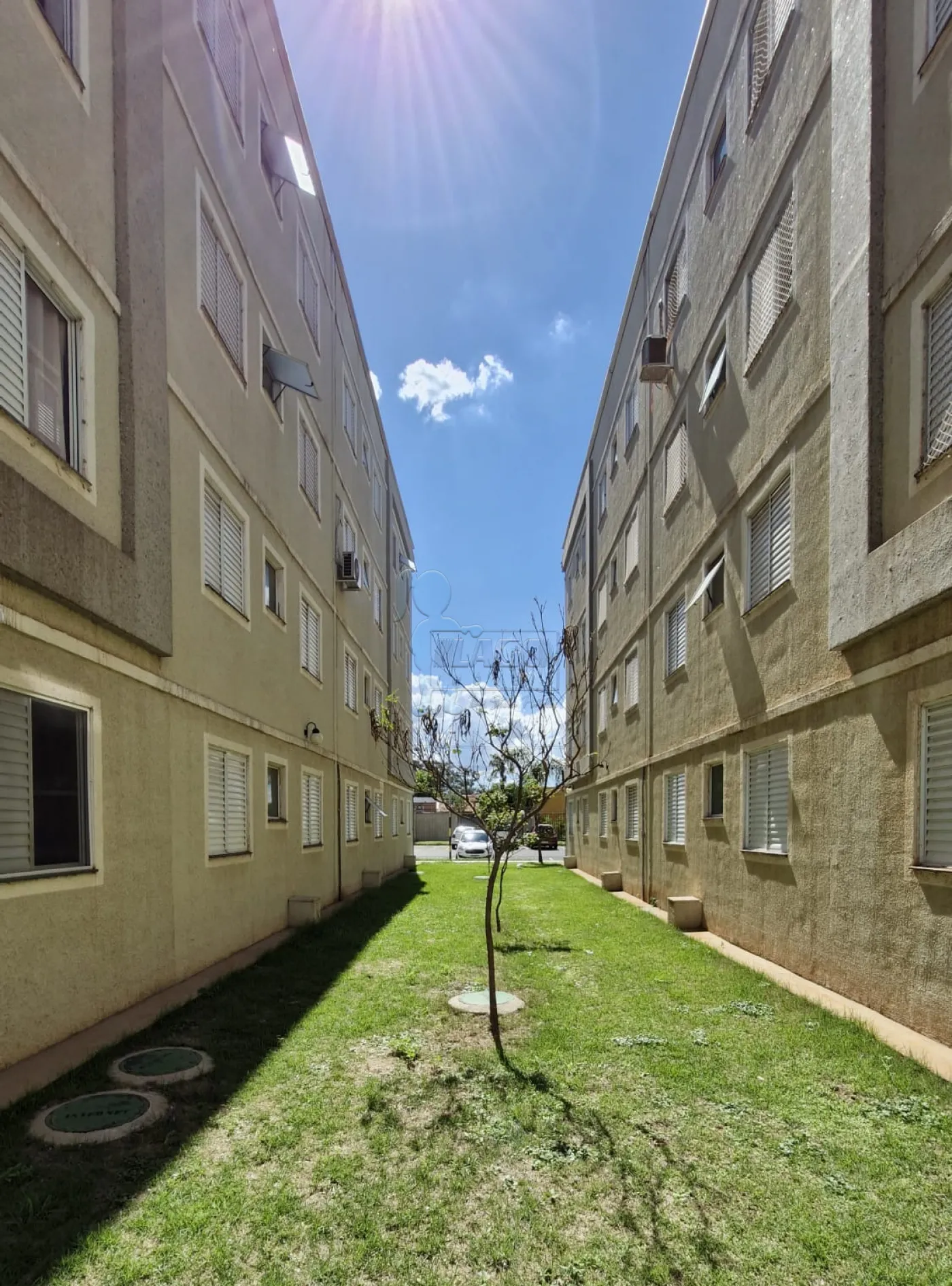 Comprar Apartamento / Padrão em Ribeirão Preto R$ 170.000,00 - Foto 16