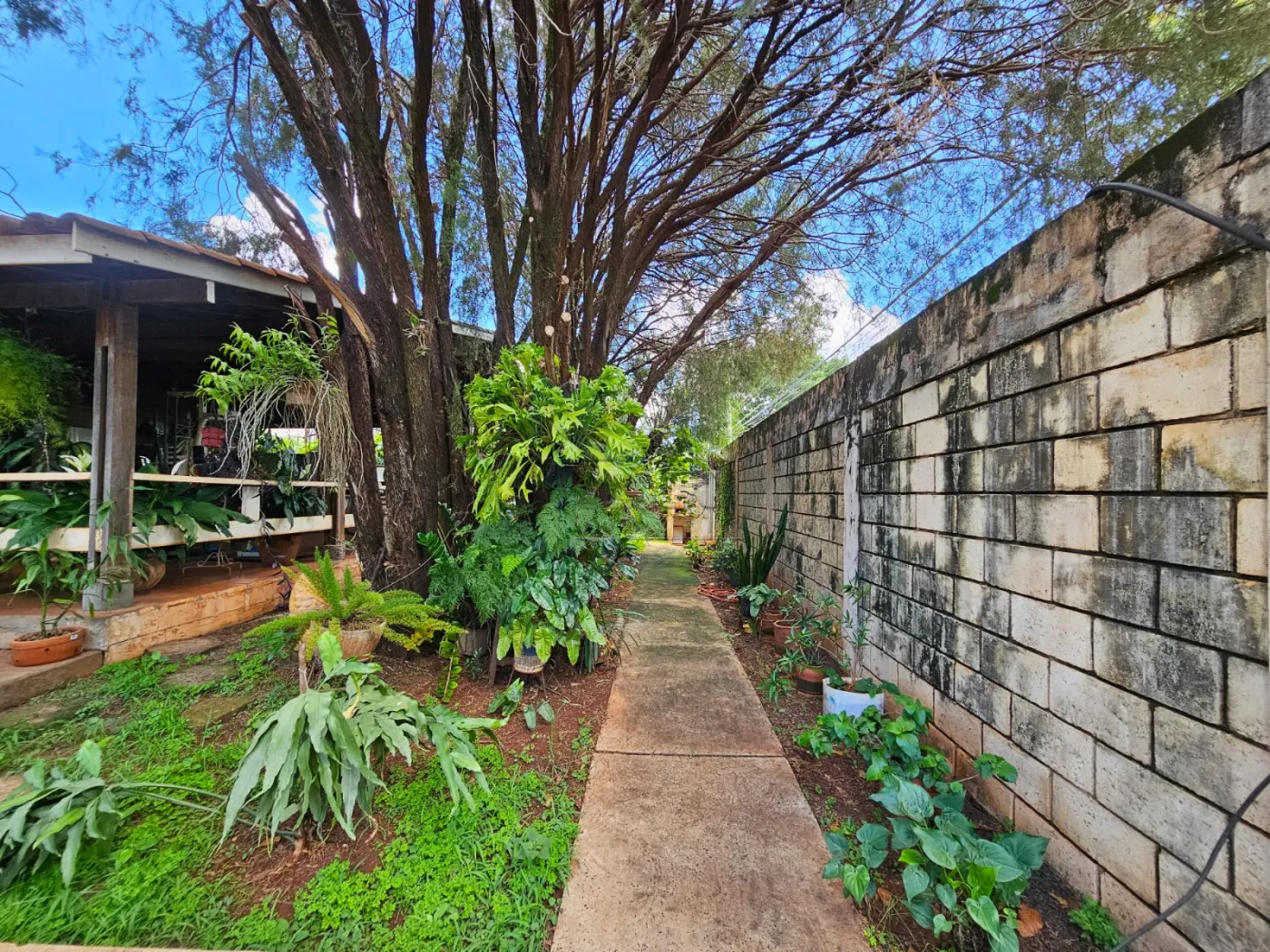 Comprar Terreno / Padrão em Ribeirão Preto R$ 4.000.000,00 - Foto 1