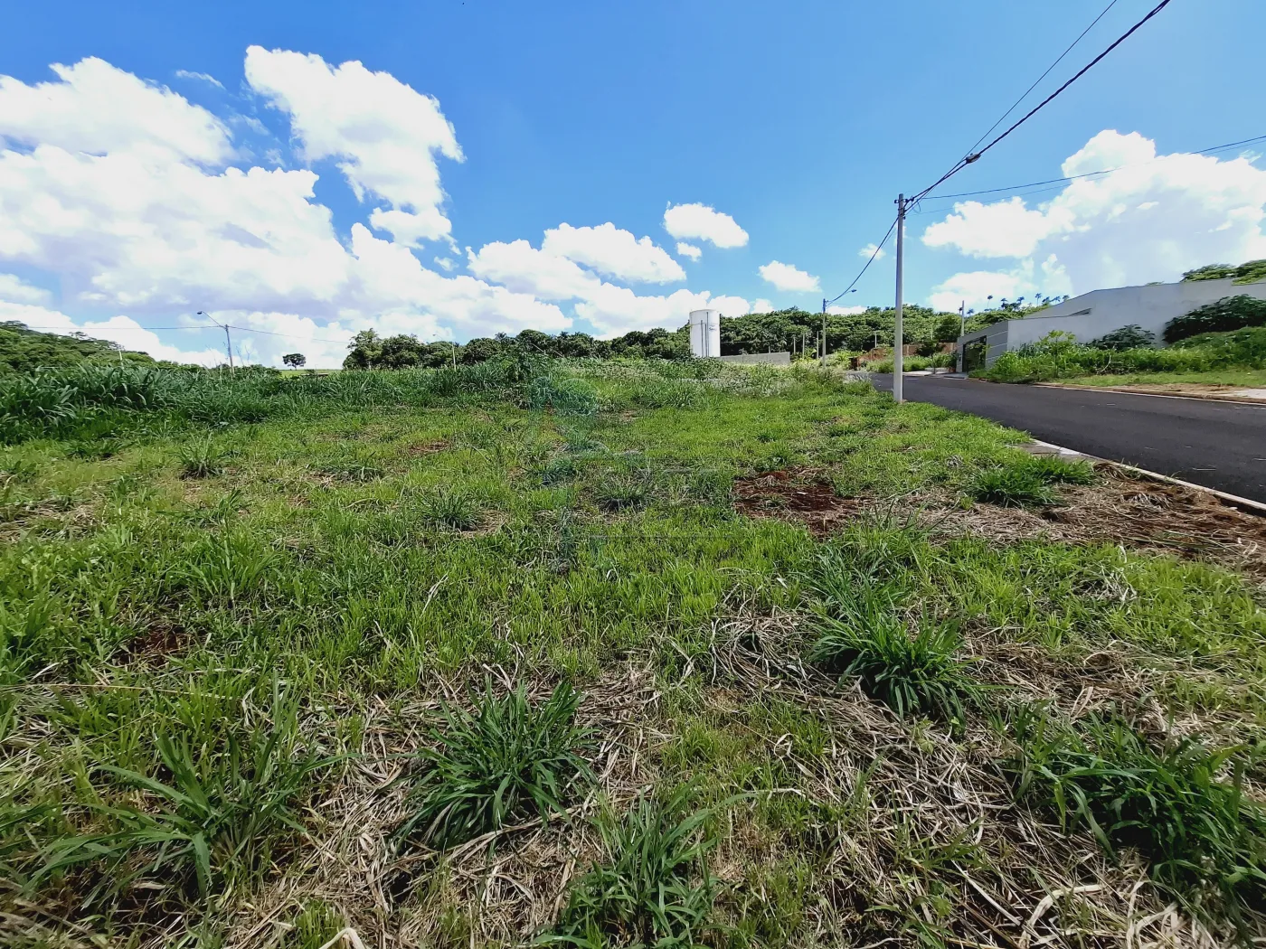 Comprar Terreno / Padrão em Ribeirão Preto R$ 170.000,00 - Foto 3