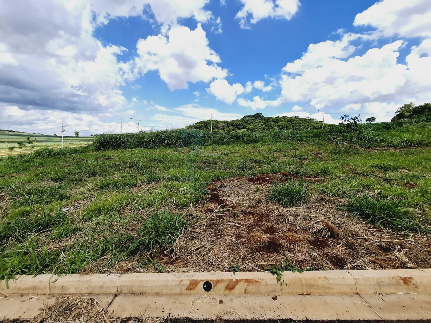 Comprar Terreno / Padrão em Ribeirão Preto R$ 170.000,00 - Foto 5