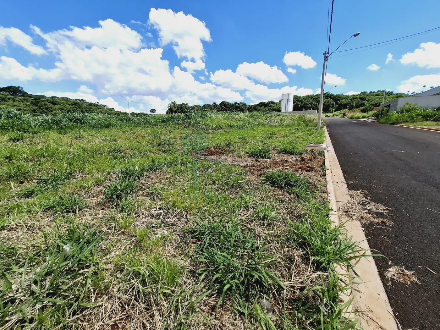 Comprar Terreno / Padrão em Ribeirão Preto R$ 170.000,00 - Foto 6