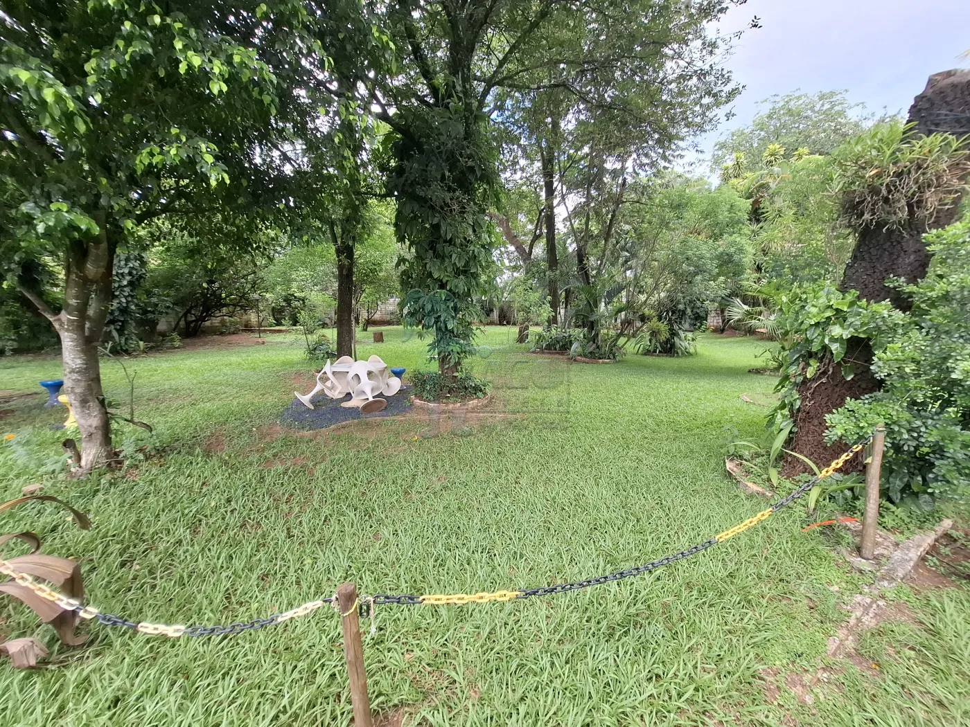 Comprar Rural / Chácara em Ribeirão Preto R$ 1.490.000,00 - Foto 7