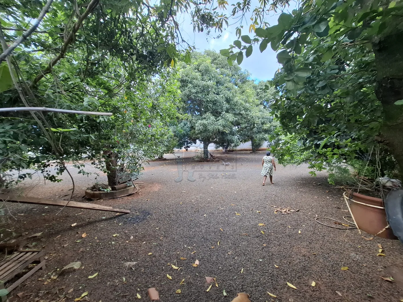 Comprar Rural / Chácara em Ribeirão Preto R$ 1.490.000,00 - Foto 46