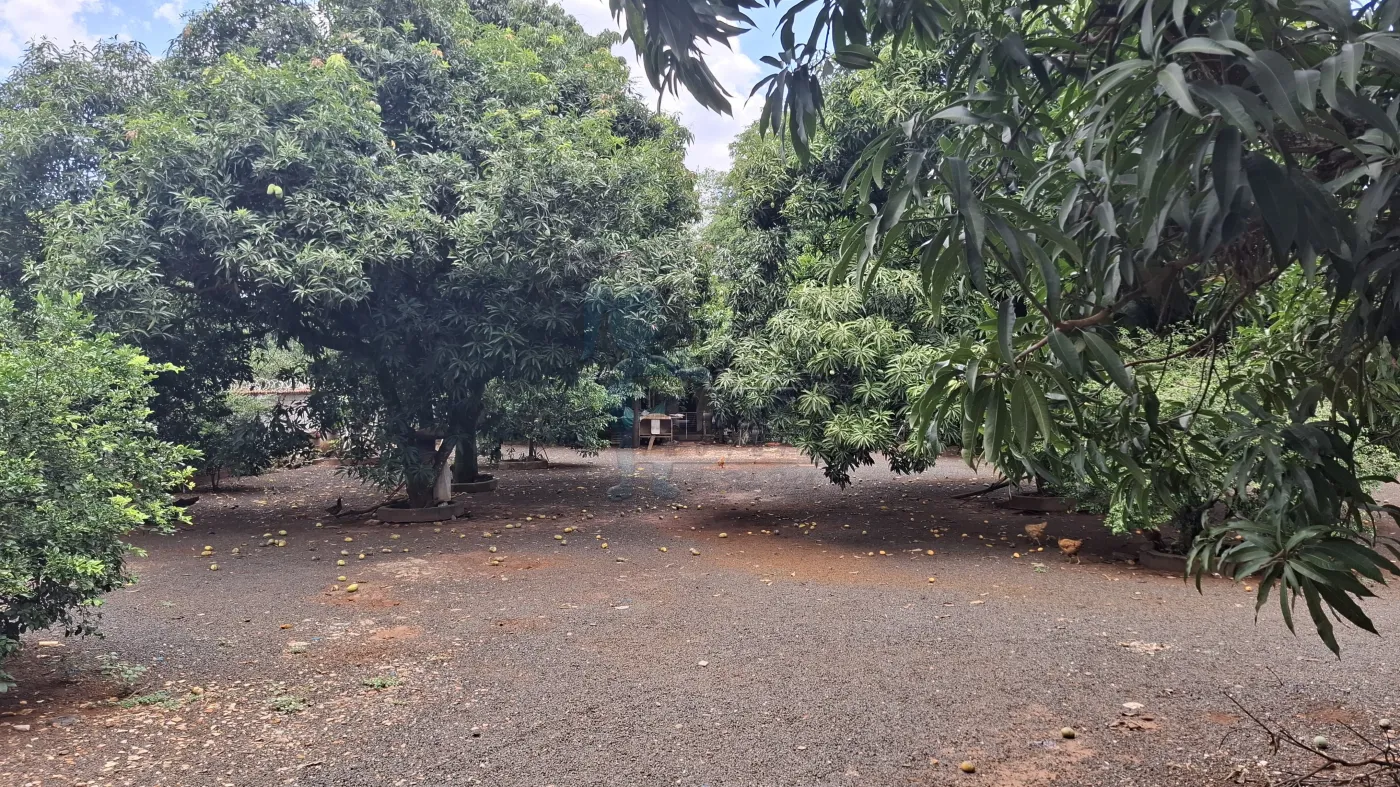 Comprar Rural / Chácara em Ribeirão Preto R$ 1.490.000,00 - Foto 49