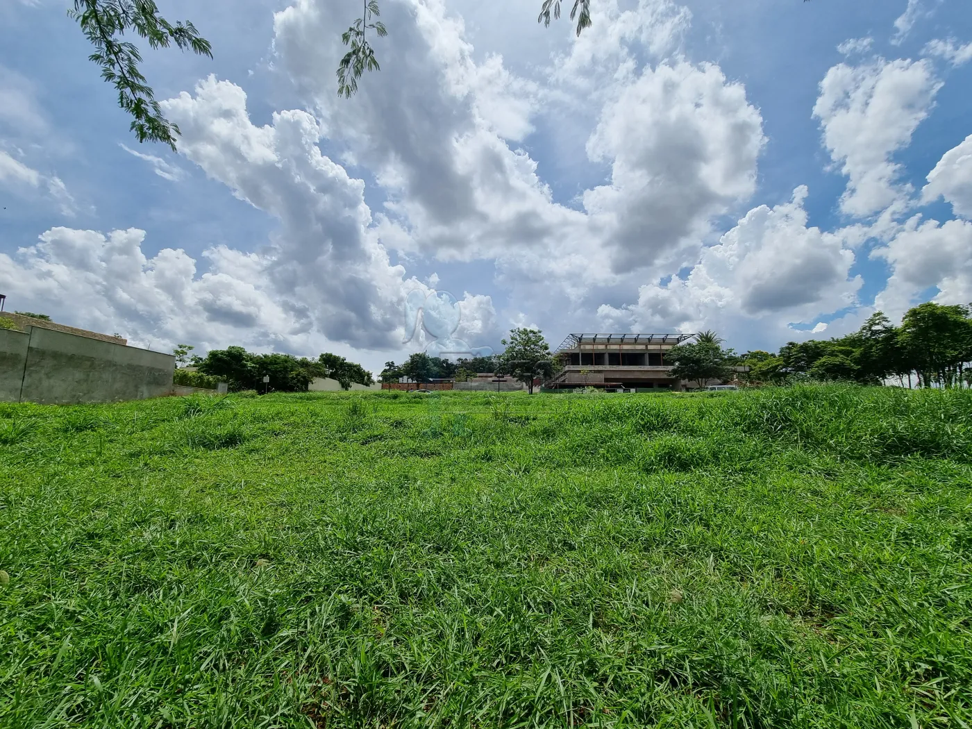 Comprar Terreno / Condomínio em Ribeirão Preto R$ 10.000.000,00 - Foto 4