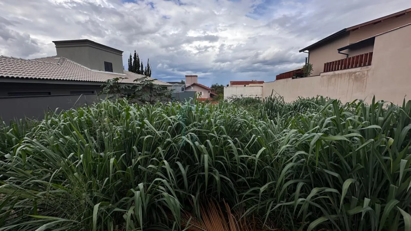 Comprar Terreno / Padrão em Ribeirão Preto R$ 470.000,00 - Foto 2