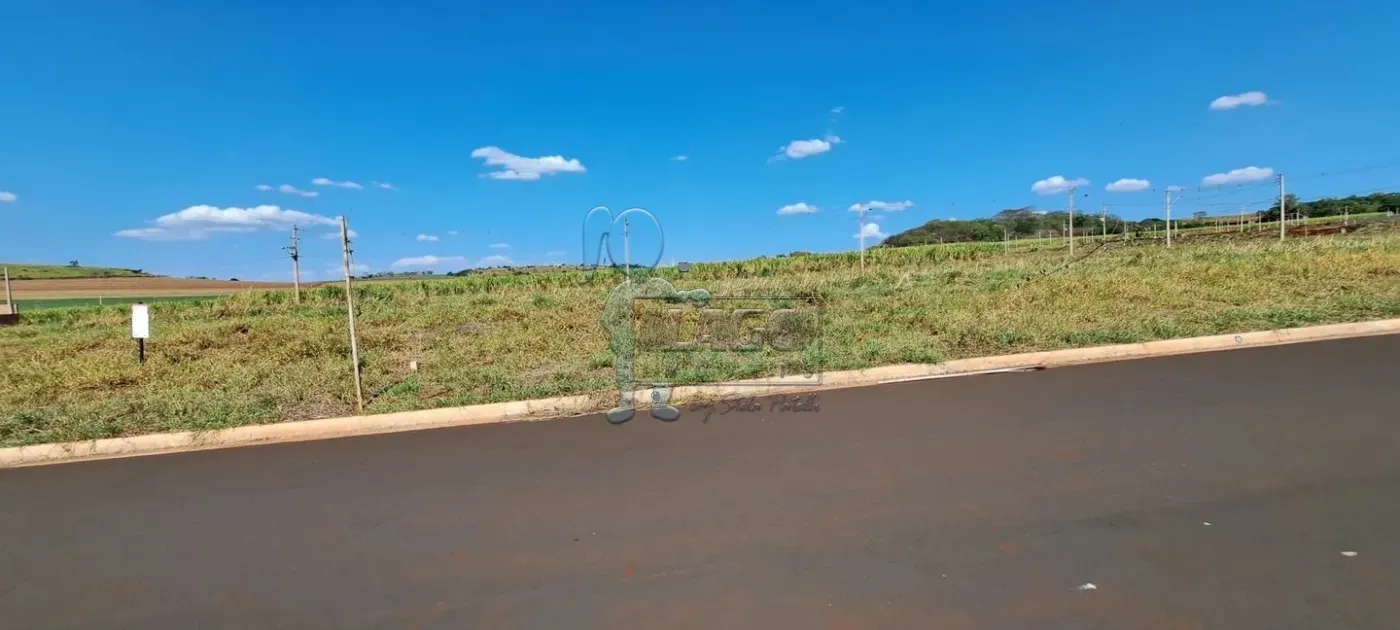 Comprar Terreno / Padrão em Ribeirão Preto R$ 120.000,00 - Foto 1