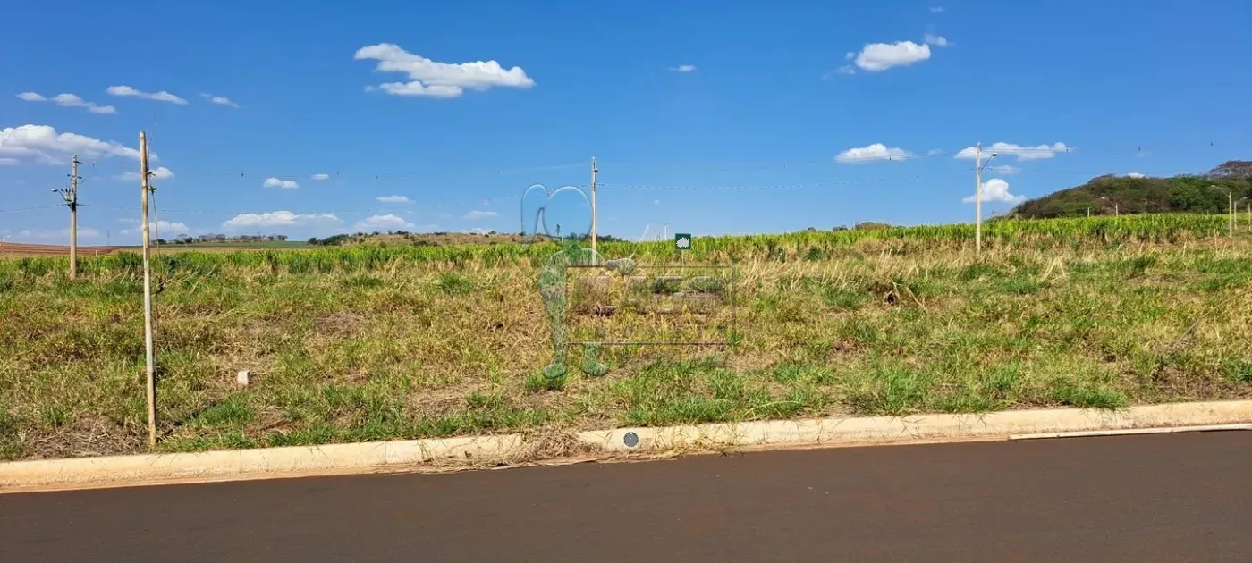 Comprar Terreno / Padrão em Ribeirão Preto R$ 120.000,00 - Foto 2