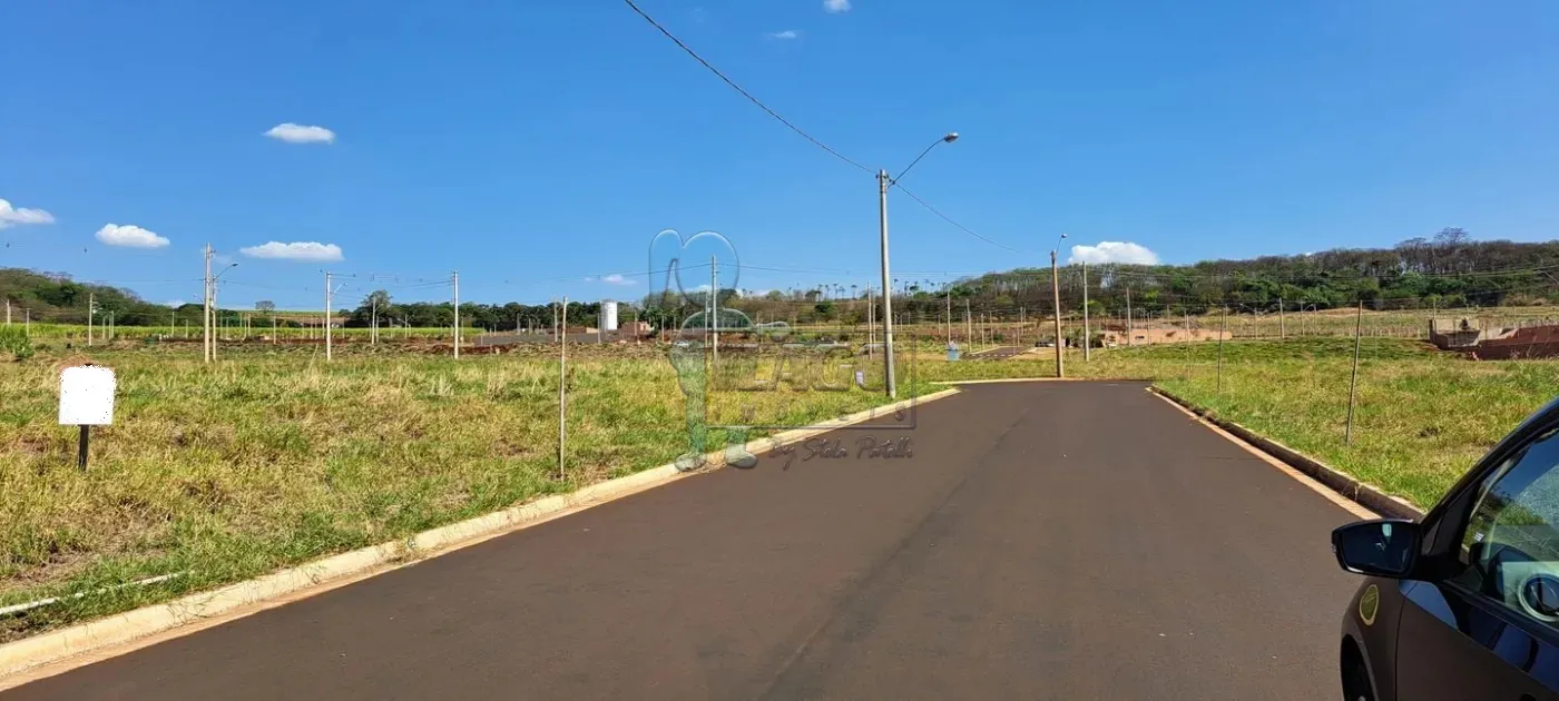 Comprar Terreno / Padrão em Ribeirão Preto R$ 120.000,00 - Foto 3