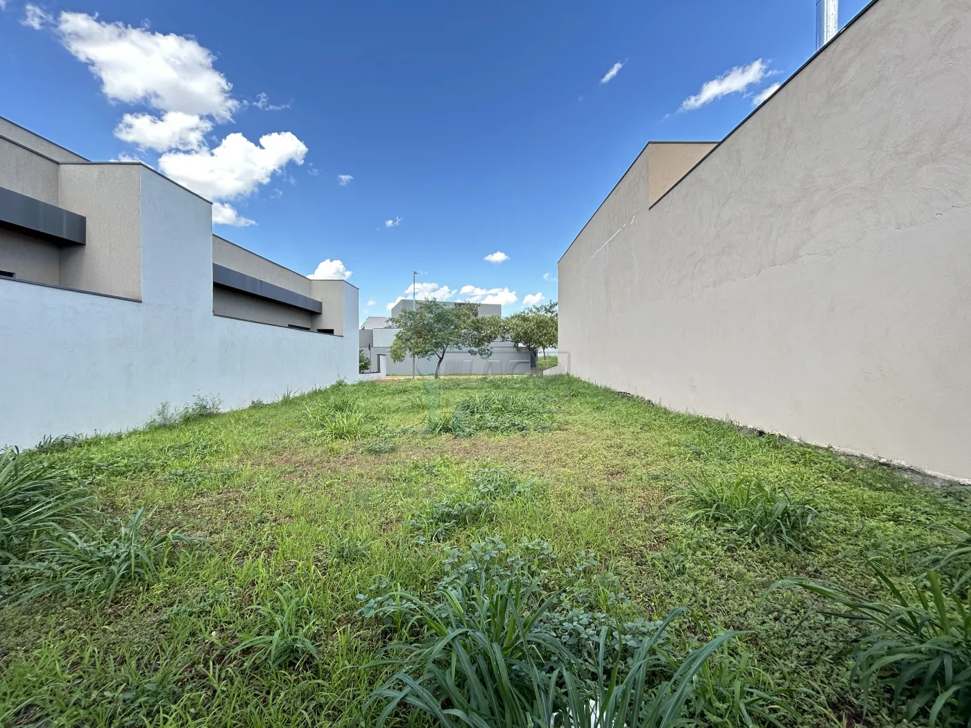 Comprar Terreno / Condomínio em Ribeirão Preto R$ 245.000,00 - Foto 5