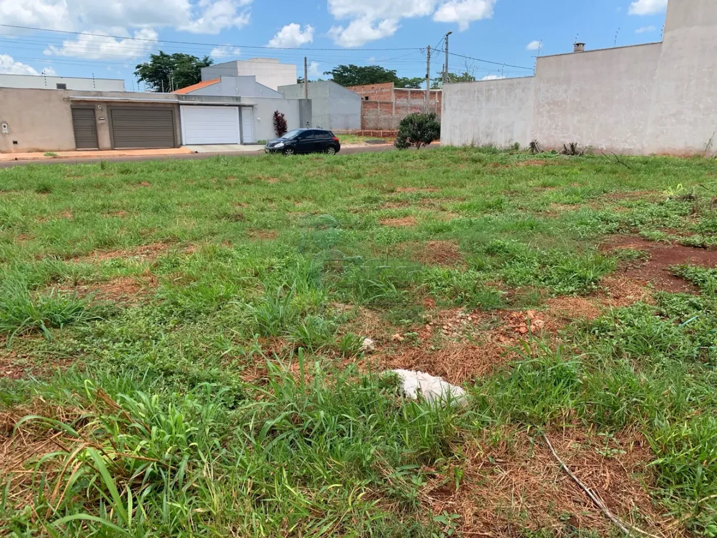 Comprar Terreno / Padrão em Sertãozinho R$ 380.000,00 - Foto 1