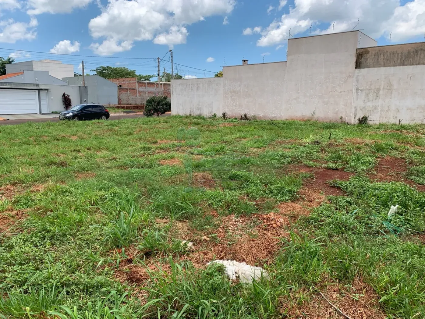 Comprar Terreno / Padrão em Sertãozinho R$ 380.000,00 - Foto 3