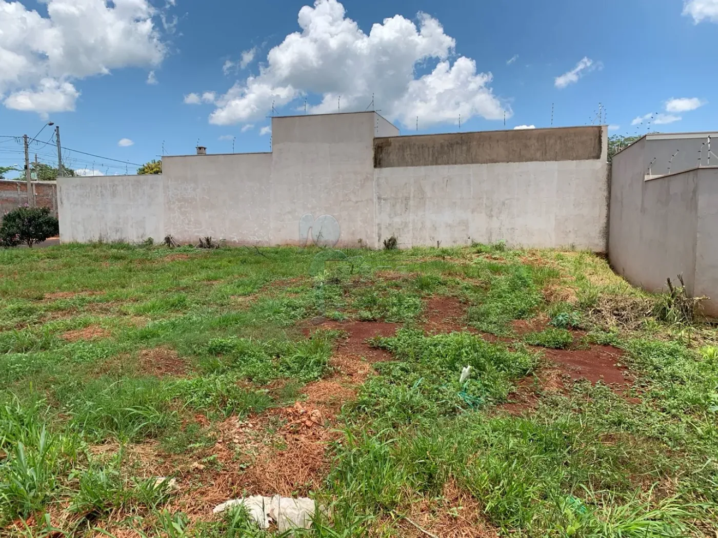 Comprar Terreno / Padrão em Sertãozinho R$ 380.000,00 - Foto 4