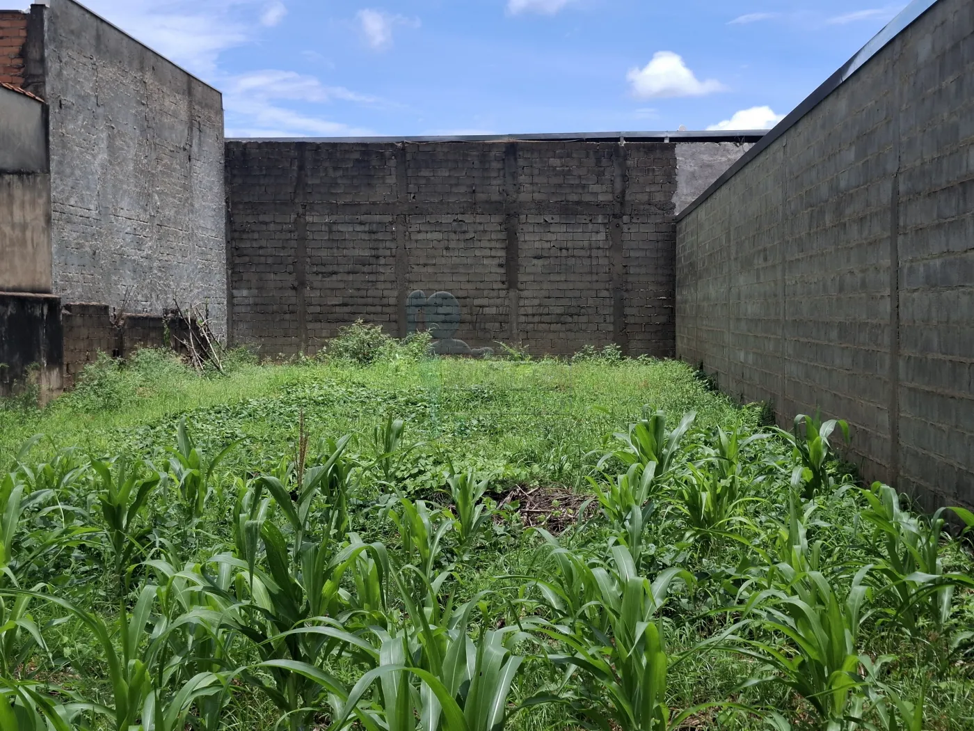 Comprar Terreno / Padrão em Ribeirão Preto R$ 160.000,00 - Foto 2