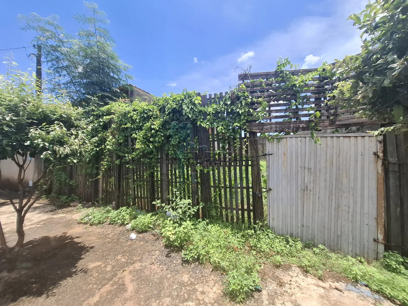 Comprar Terreno / Padrão em Ribeirão Preto R$ 160.000,00 - Foto 3