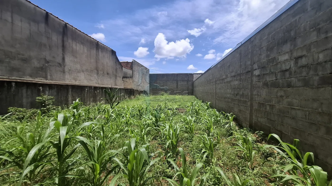 Comprar Terreno / Padrão em Ribeirão Preto R$ 160.000,00 - Foto 5