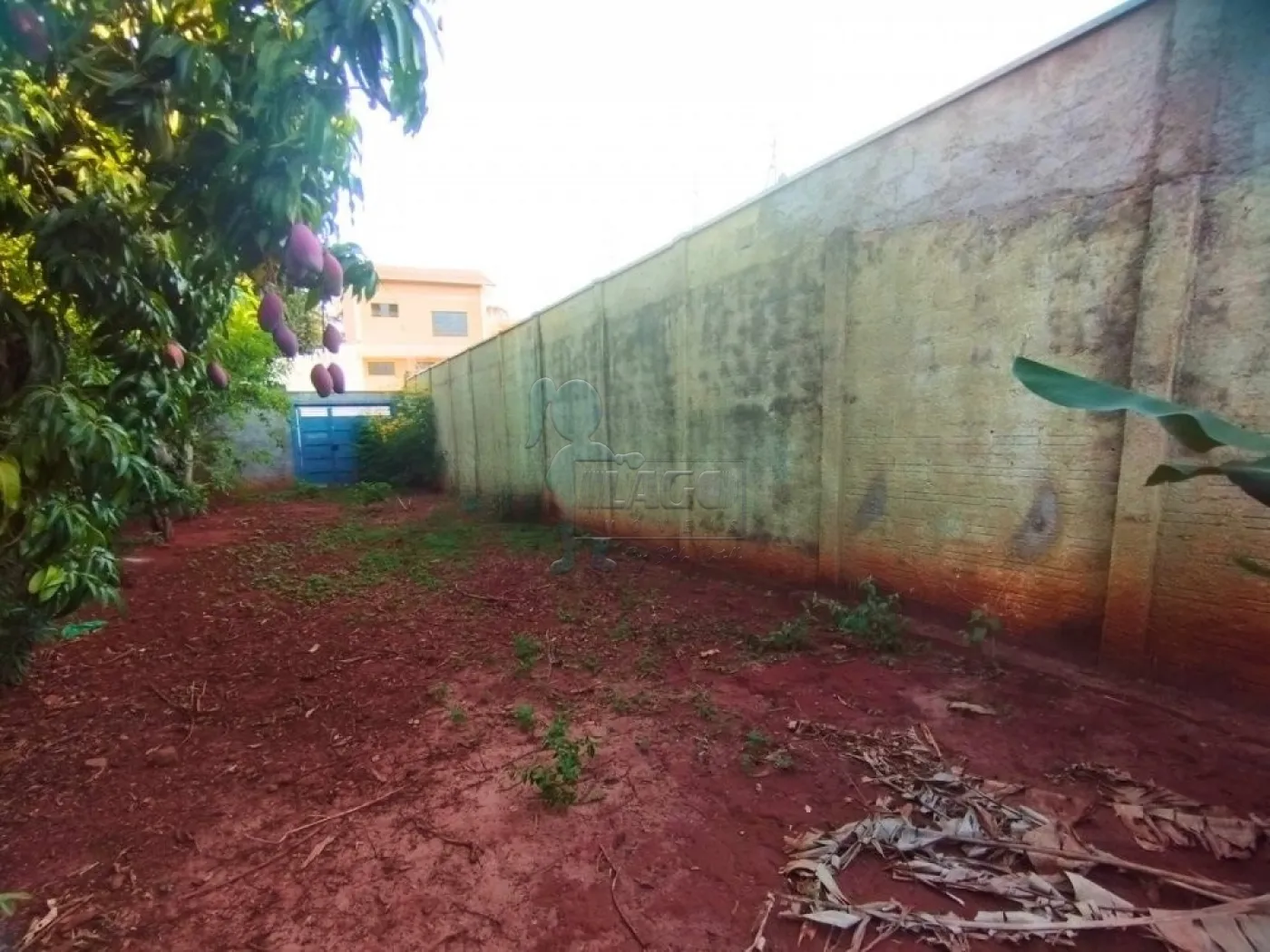 Comprar Terreno / Padrão em Luís Antônio R$ 180.000,00 - Foto 3