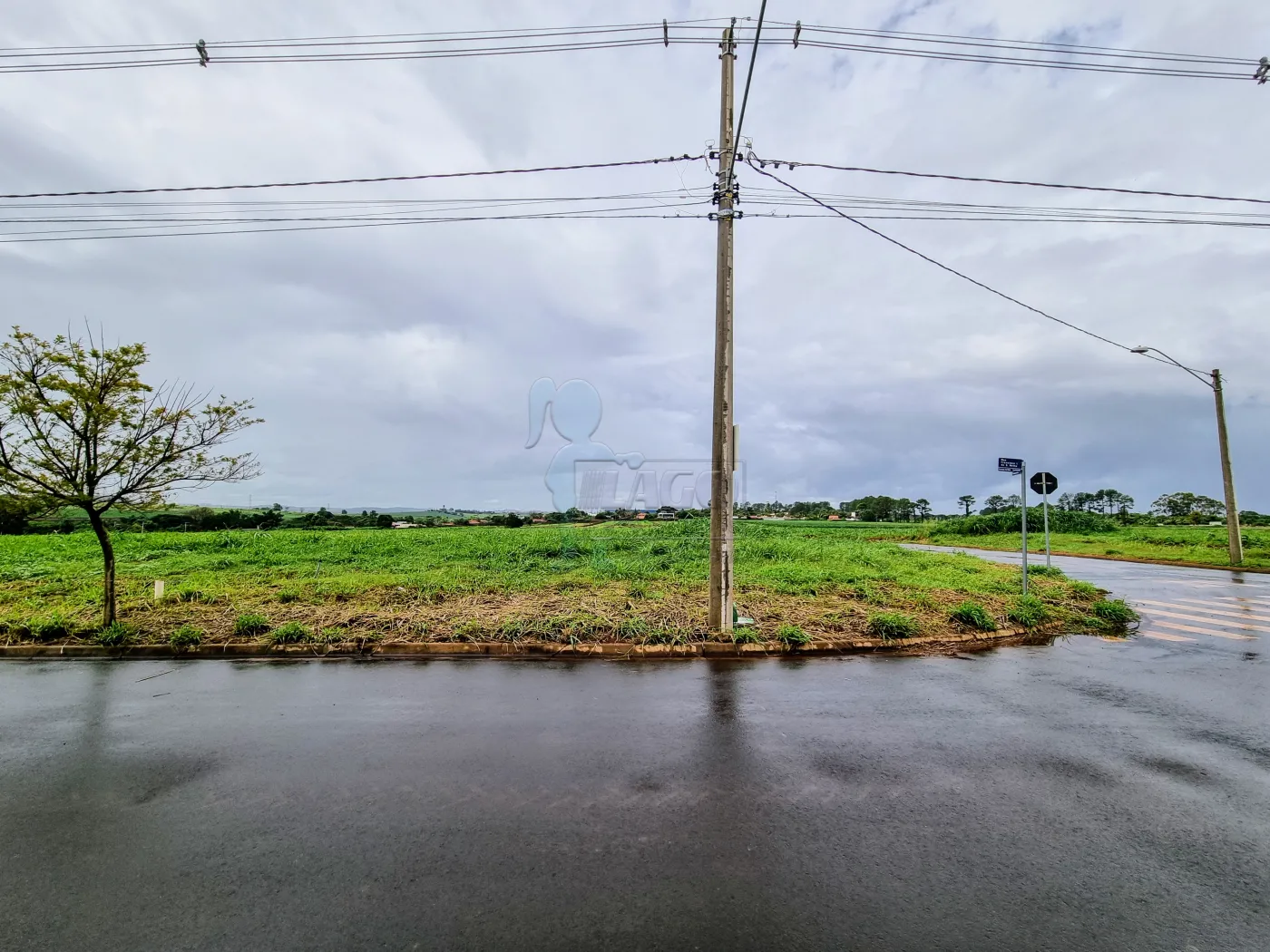 Comprar Terreno / Comercial em Ribeirão Preto R$ 385.000,00 - Foto 3