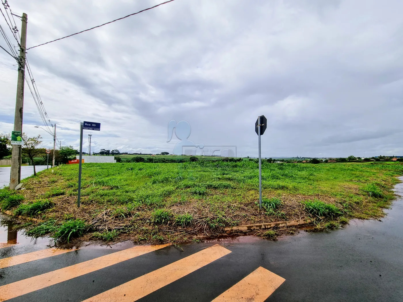 Comprar Terreno / Comercial em Ribeirão Preto R$ 385.000,00 - Foto 4