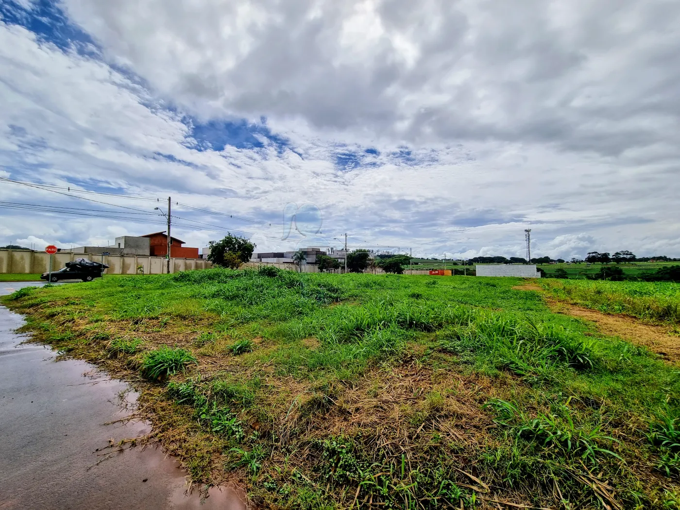 Comprar Terreno / Comercial em Ribeirão Preto R$ 385.000,00 - Foto 6