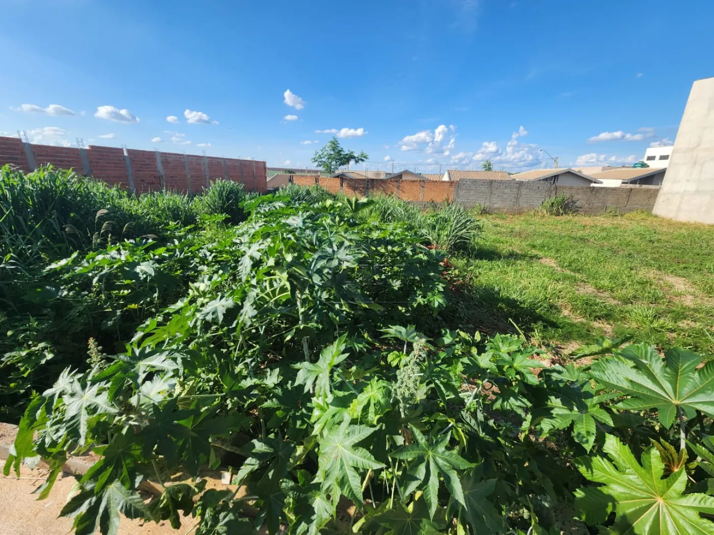 Comprar Terreno / Padrão em Ribeirão Preto R$ 107.000,00 - Foto 3