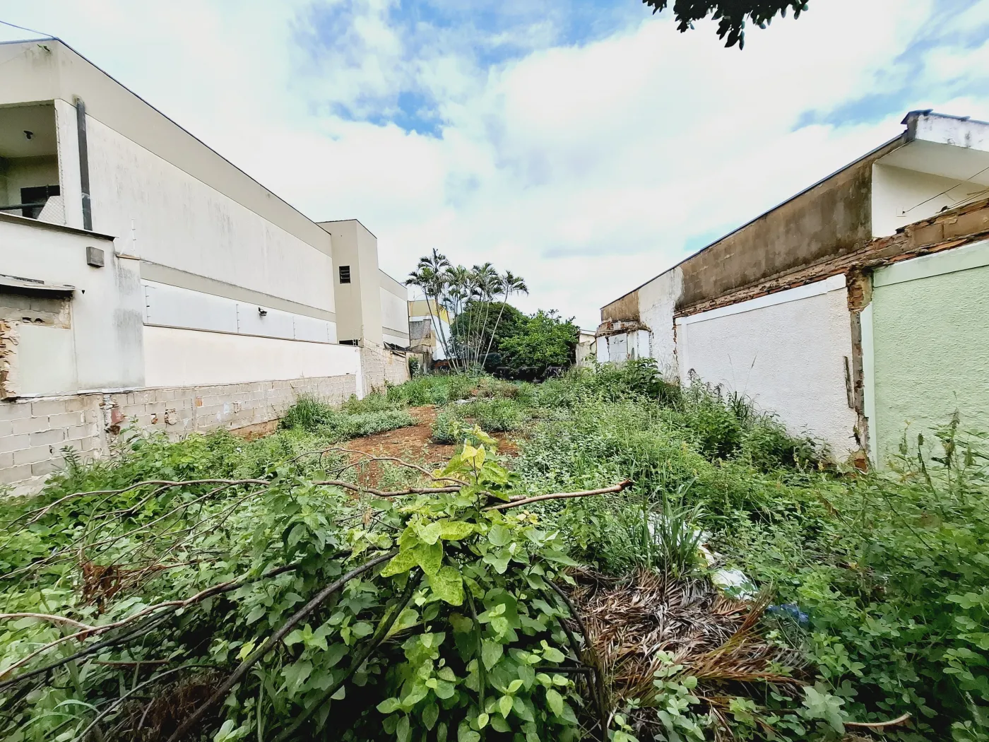 Comprar Terreno / Padrão em Ribeirão Preto R$ 580.000,00 - Foto 7