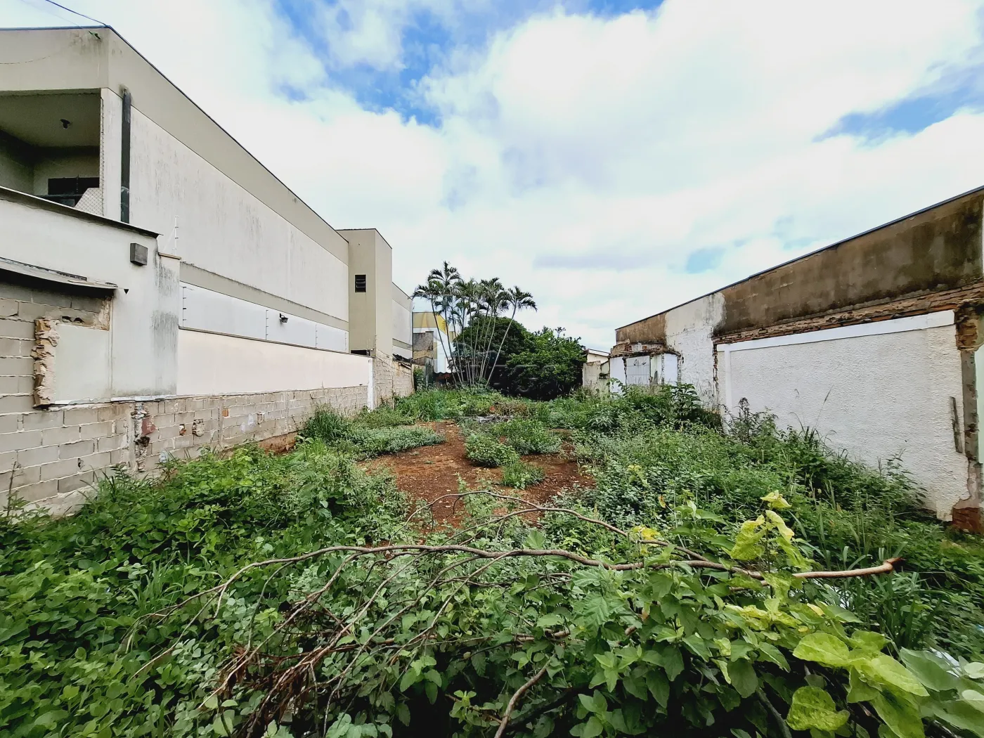 Comprar Terreno / Padrão em Ribeirão Preto R$ 580.000,00 - Foto 8