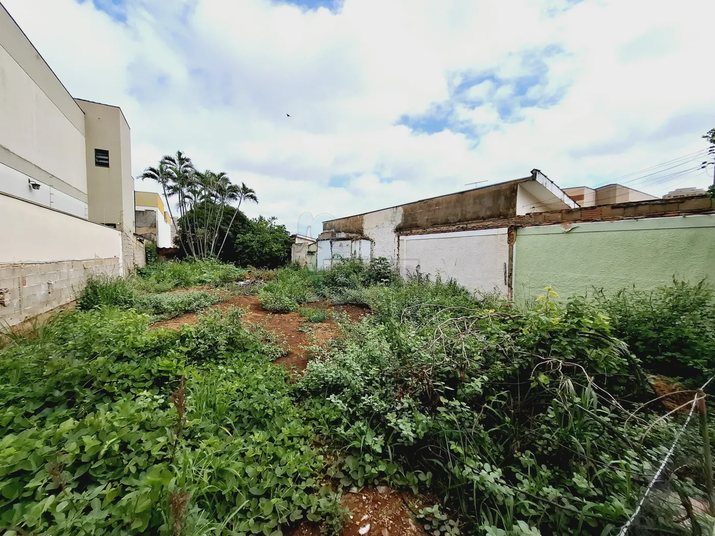 Comprar Terreno / Padrão em Ribeirão Preto R$ 580.000,00 - Foto 6