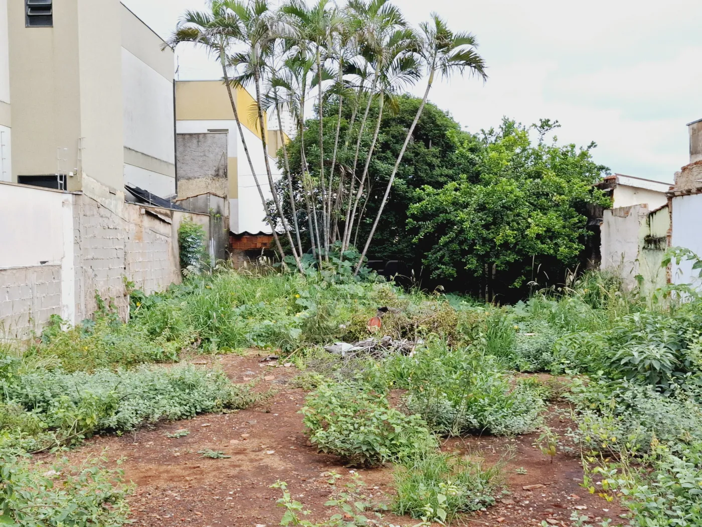 Comprar Terreno / Padrão em Ribeirão Preto R$ 580.000,00 - Foto 5