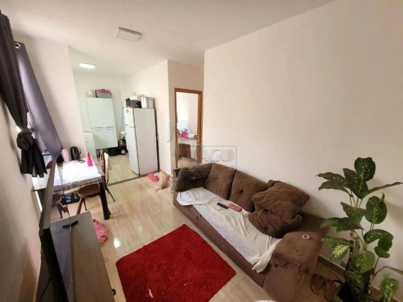 Comprar Apartamento / Padrão em Ribeirão Preto R$ 150.000,00 - Foto 1