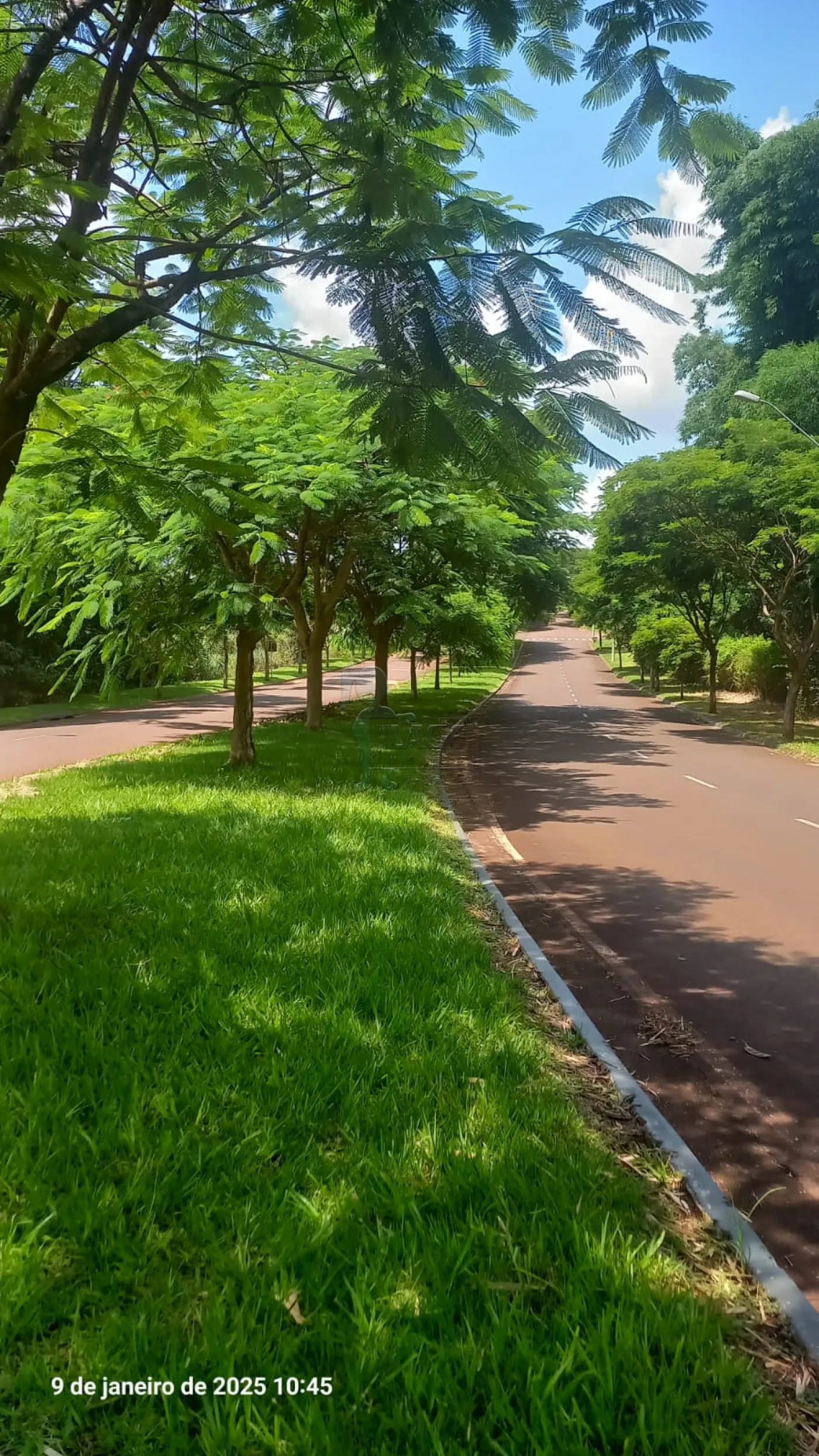 Comprar Terreno / Condomínio em Bonfim Paulista R$ 303.000,00 - Foto 3