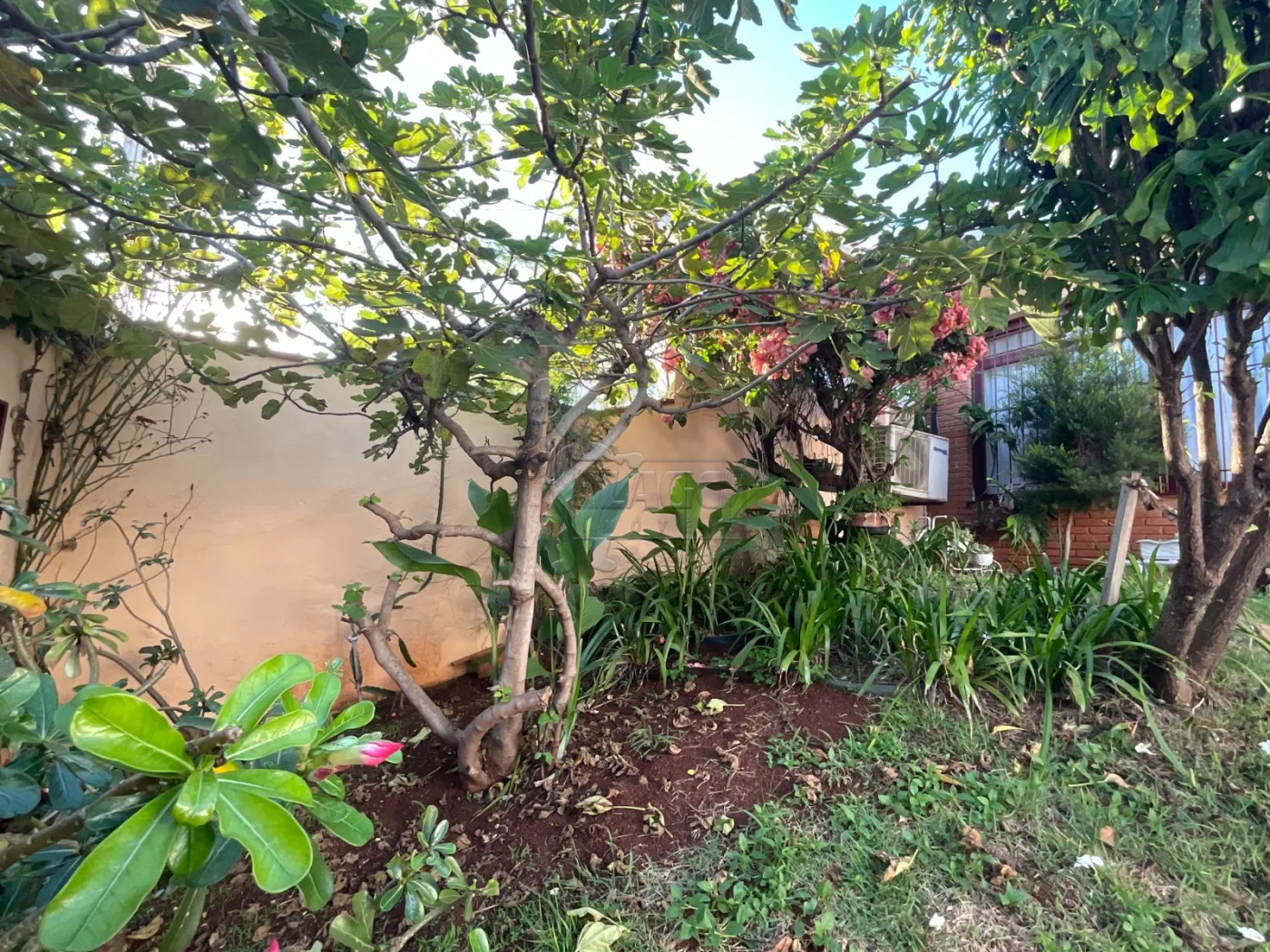 Comprar Casa / Padrão em Ribeirão Preto R$ 580.000,00 - Foto 26