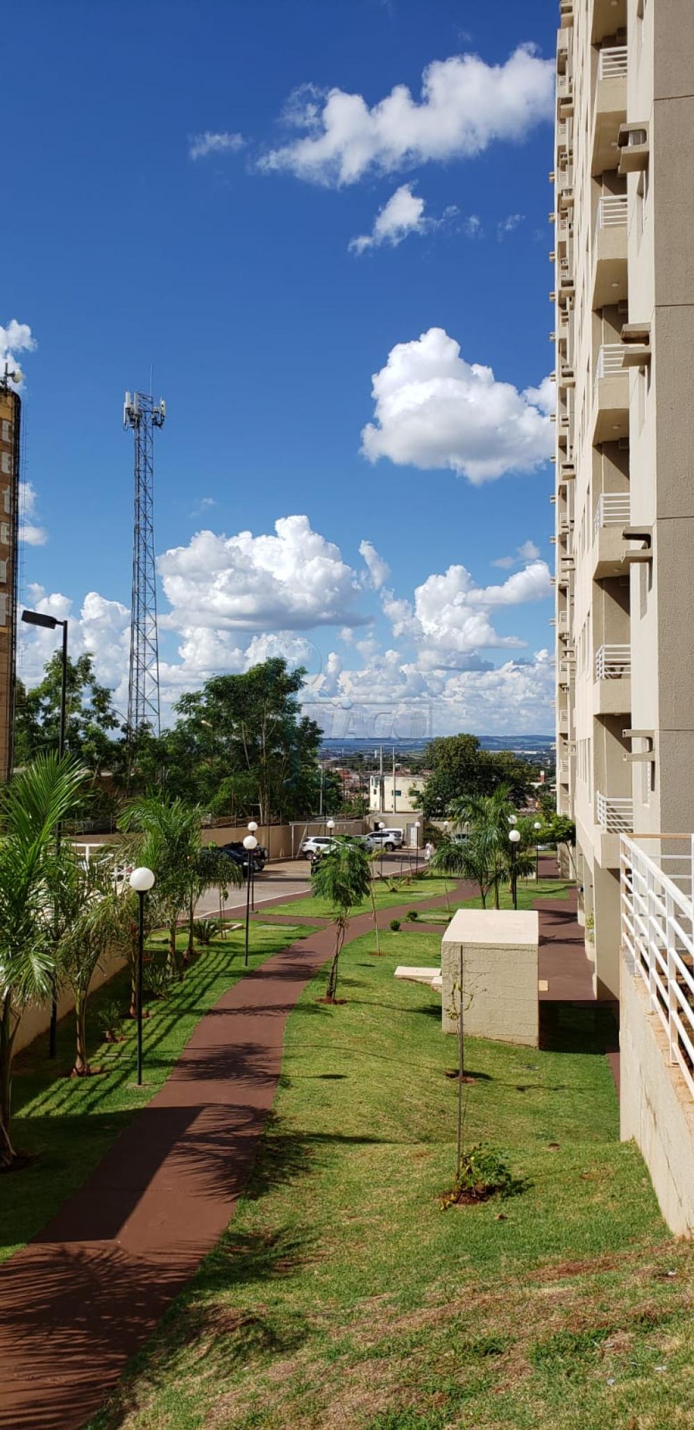 Comprar Apartamentos / Padrão em Ribeirão Preto R$ 255.000,00 - Foto 20