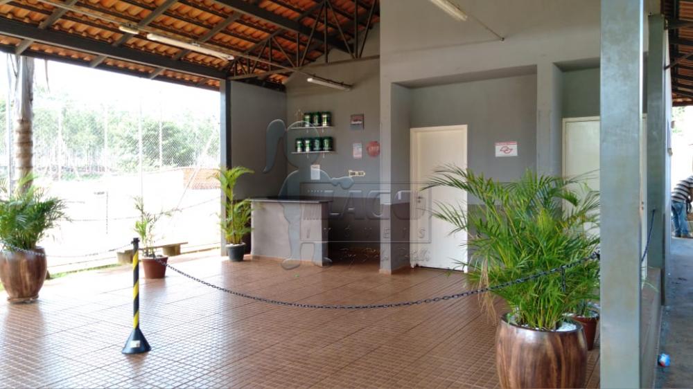 Alugar Apartamento / Padrão em Ribeirão Preto R$ 600,00 - Foto 12