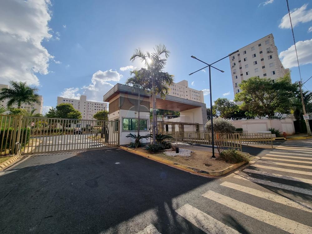 Alugar Apartamento / Padrão em Ribeirão Preto R$ 700,00 - Foto 20