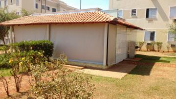 Alugar Apartamentos / Padrão em Ribeirão Preto R$ 500,00 - Foto 14