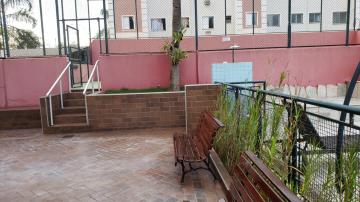 Alugar Apartamentos / Padrão em Ribeirão Preto R$ 500,00 - Foto 22