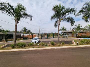 Alugar Casa condomínio / Padrão em Ribeirão Preto R$ 7.500,00 - Foto 16