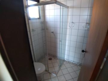 Alugar Apartamento / Padrão em Ribeirão Preto R$ 500,00 - Foto 14